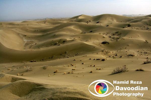 Varzaneh Desert, Isfahan, Iran