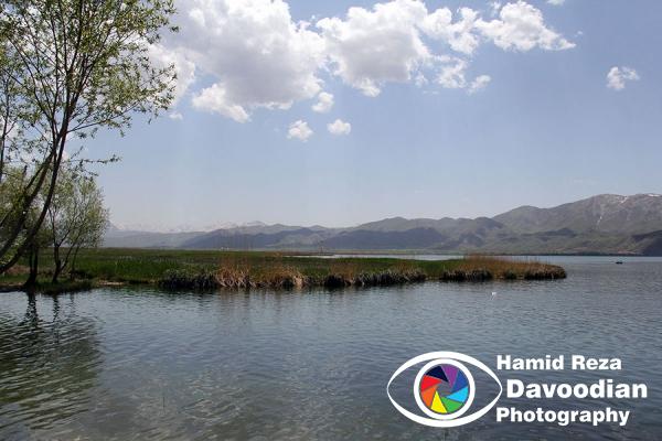 Zarivar Lake
