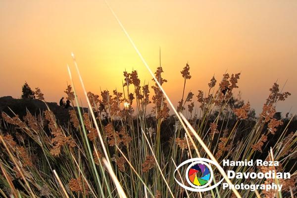 Sunset in Ashoredeh Island